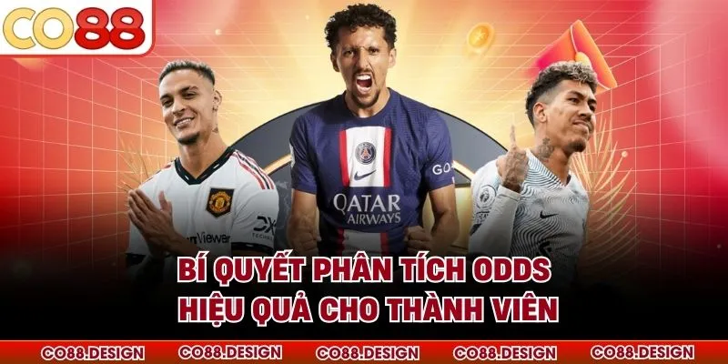 Bí quyết phân tích odds hiệu quả cho thành viên