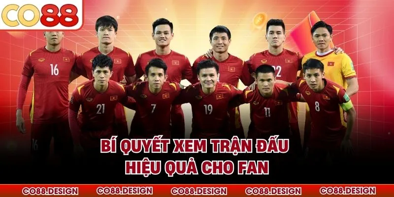 Bí quyết xem trận đấu hiệu quả cho fan